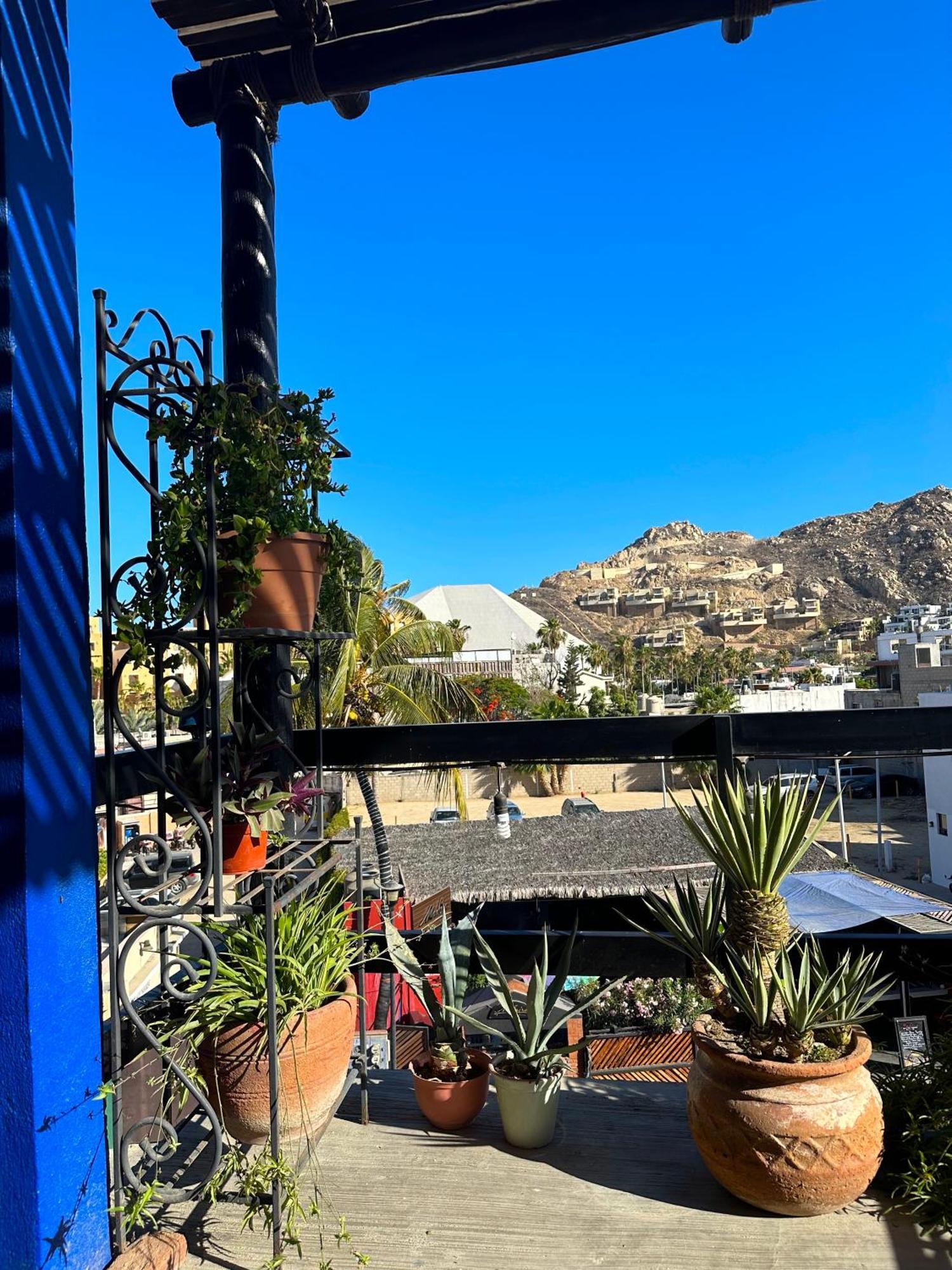 Siesta Suites Boutique Hotel Cabo San Lucas Buitenkant foto
